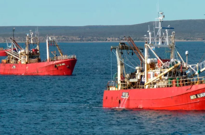  Paro nacional en toda la costa pesquera: sin producción ni liquidación de dólares