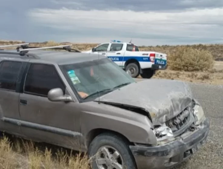  Impacto inesperado en la Ruta 25: un guanaco provocó un accidente sin heridos