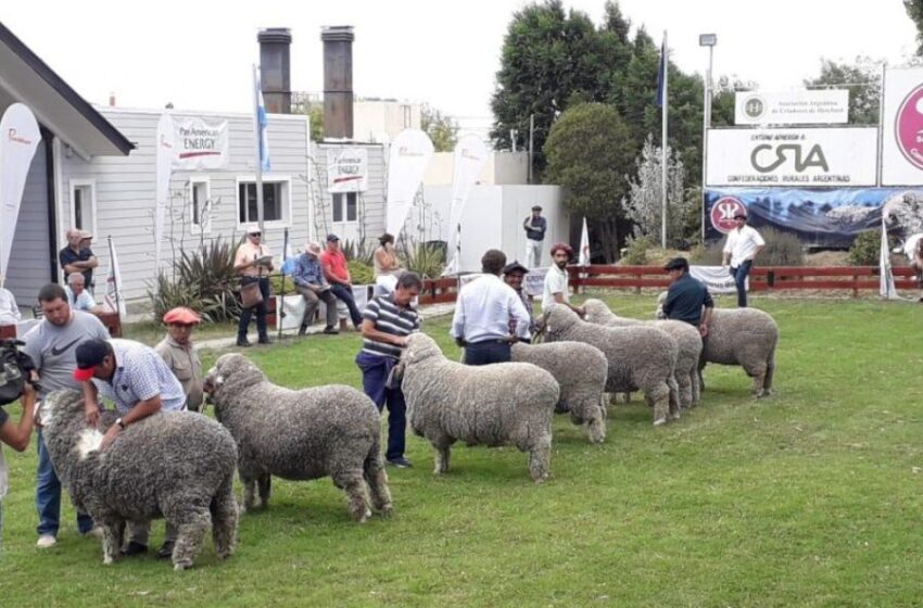  Este fin de semana se desarrollará la 87° edición de la Exposición Ganadera en la Sociedad Rural de Comodoro Rivadavia