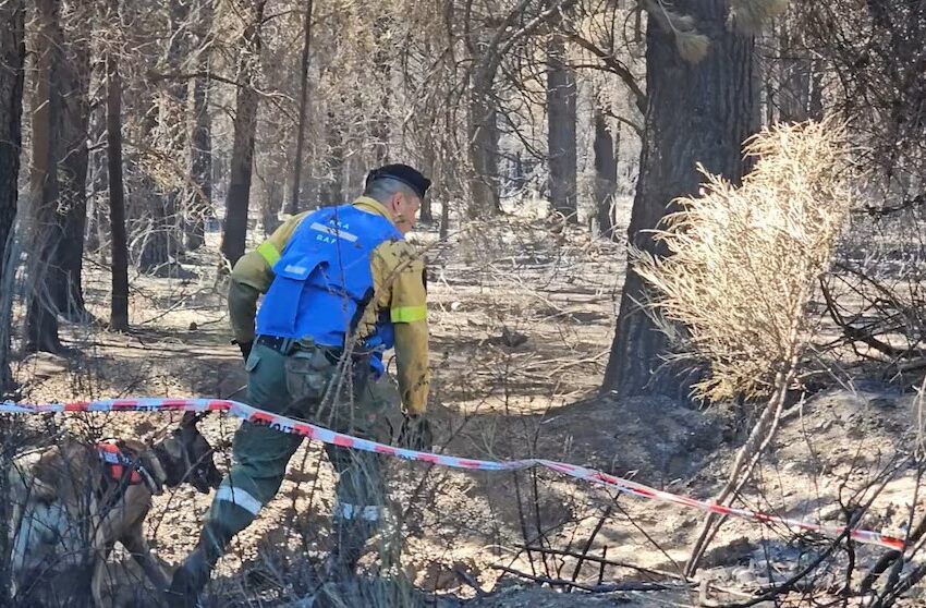  El Gobierno apuntó contra los mapuches por los incendios en Chubut y Río Negro: “Son golpistas del fuego”
