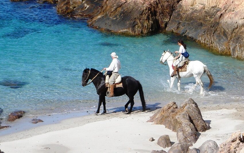  Un paraíso natural en Chubut: así es la «Galápagos» argentina