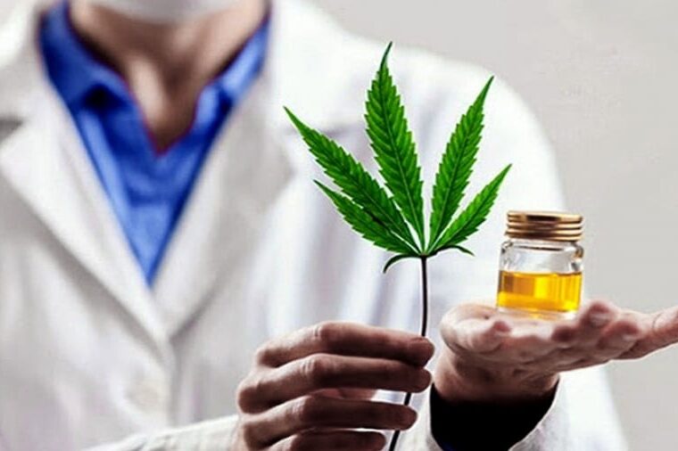  Cannabis medicinal en Chubut: la ley provincial protege a los cultivadores