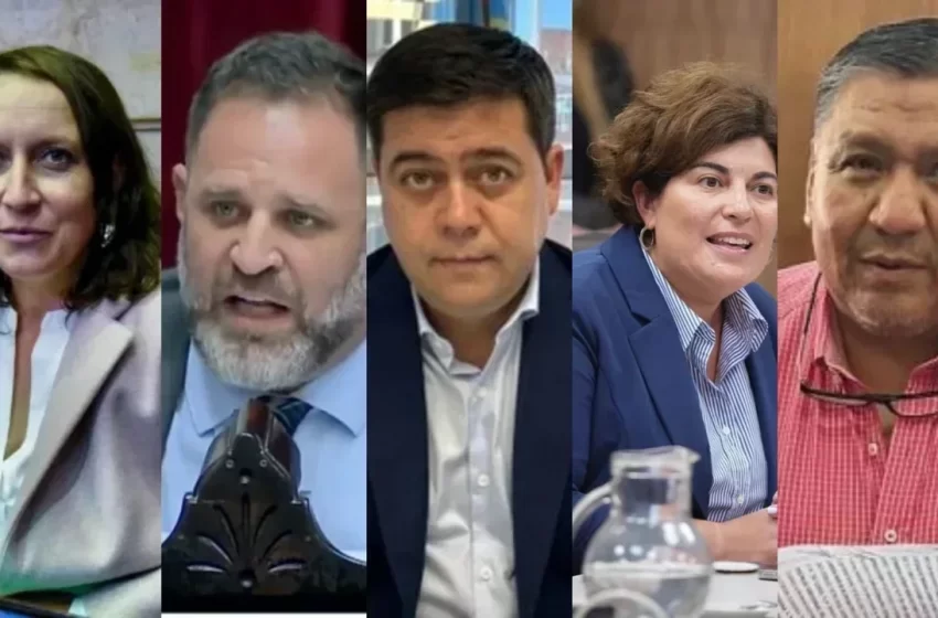  Diputados y la suspensión de las PASO: el voto inesperado de Alianello y la ausencia de Romero