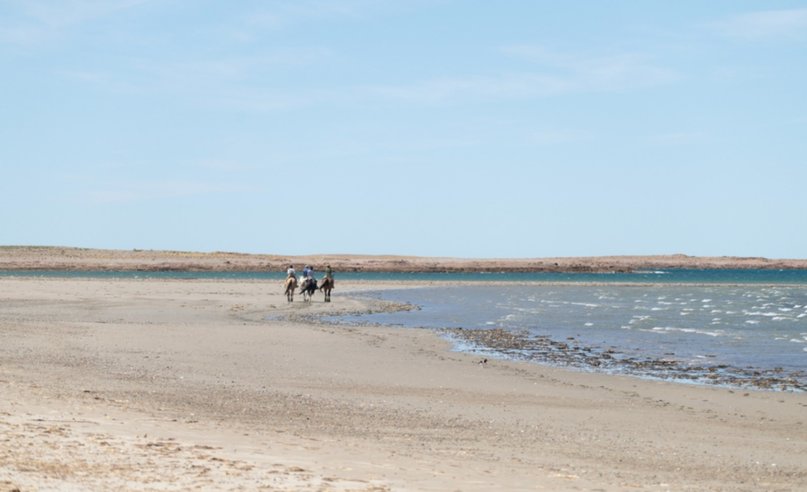  Desde la estepa hasta el océano: cabalgatas en la Patagonia Azul
