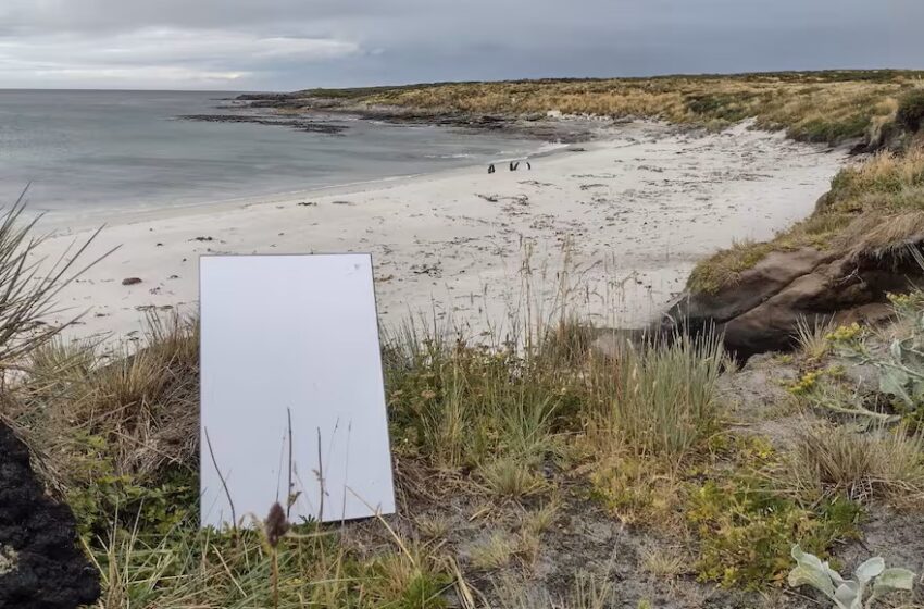  Malvinas sin libertad digital: el gobierno prohíbe Starlink y multa a sus usuarios