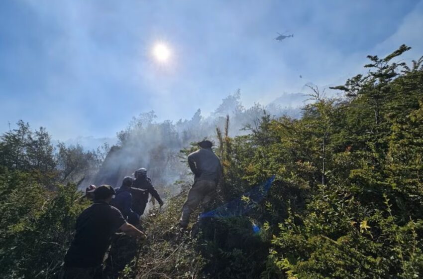  Cristian Larsen: “El 95% de los incendios en la Patagonia fueron provocados”