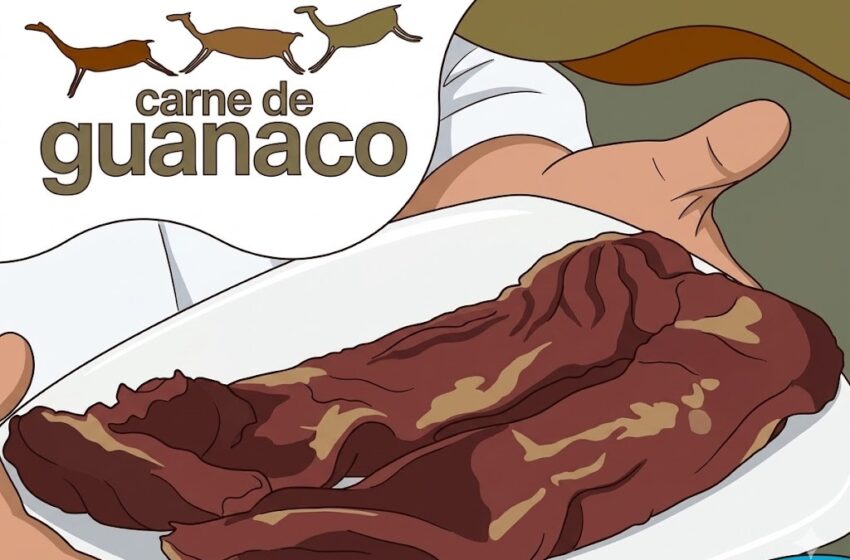  Del paisaje a la mesa: el guanaco empieza a cambiar la producción patagónica