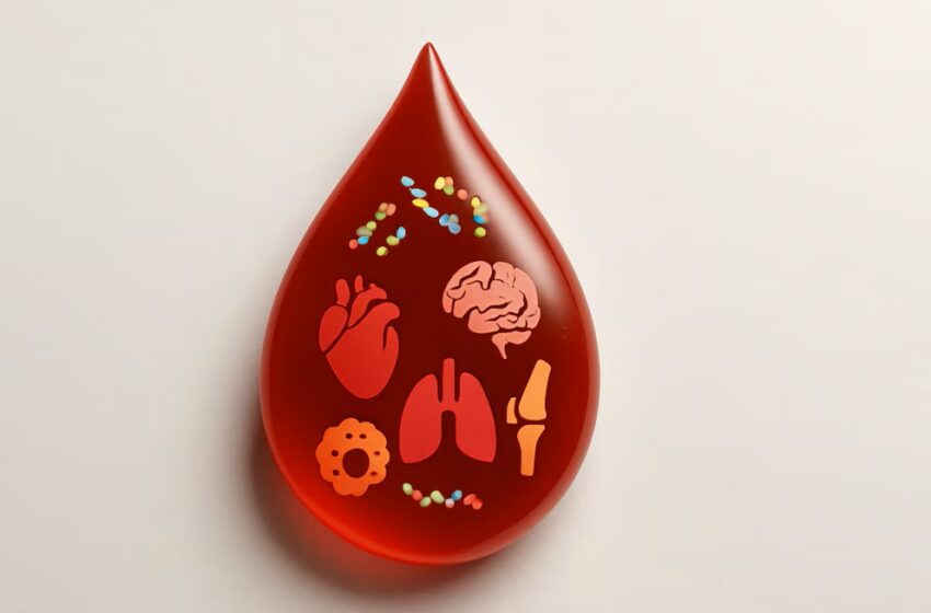  Un análisis de sangre simple podría detectar cáncer y daños en órganos con alta precisión: cómo funciona